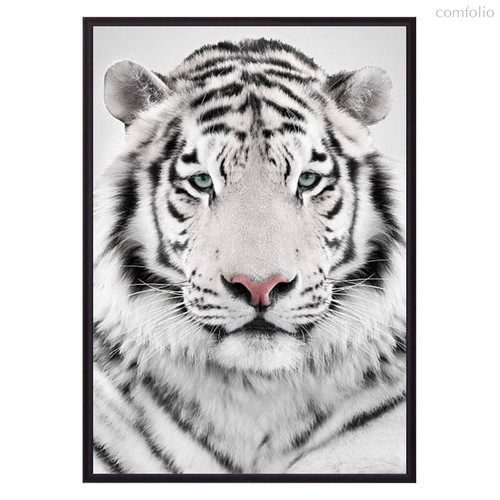 Белый тигр, 50x70 см - Dom Korleone