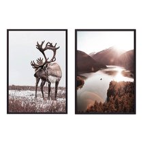 Коллаж Природа №88, 50x70 см - Dom Korleone