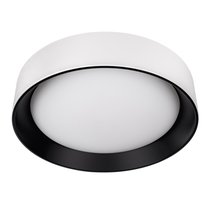 10202 WB Потолочный светильник LOFT IT Coin - Loft It