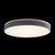 10001/36 Grey Потолочный светильник LOFT IT Axel - Loft It