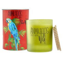 Свеча ароматическая Wild Parrot Цитрусовый 40 ч - Ambientair