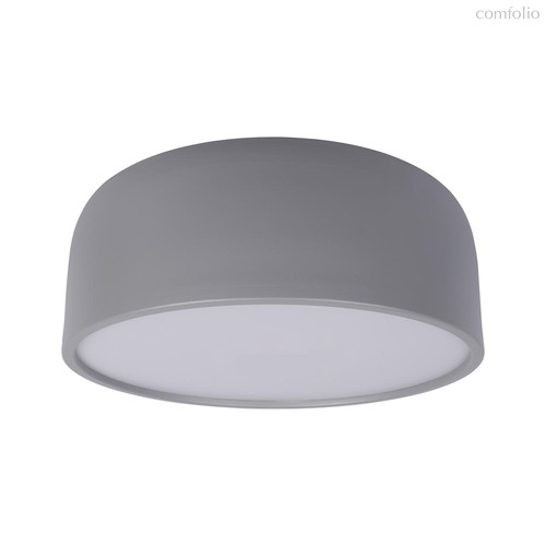 10201/350 Grey Потолочный светильник LOFT IT Axel - Loft It
