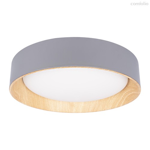10202 Grey Потолочный светильник LOFT IT Coin - Loft It