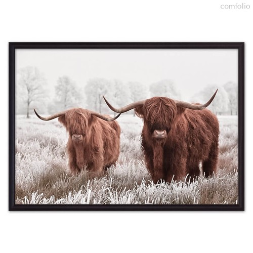 Исландские коровы, 30x40 см - Dom Korleone