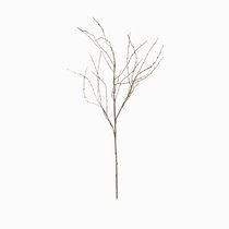 Декор Spring Sprout, цвет коричневый - Cosmo