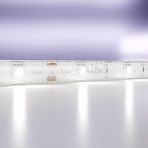 Светодиодная лента 24В 5050 7,2Вт/м 6000K 5м IP65 - Maytoni