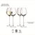 Набор из 4 бокалов для белого вина Aurelia 430 мл - LSA International