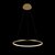 10014M Подвесной светильник LOFT IT Ring - Loft It