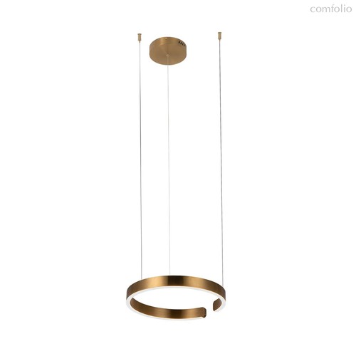 10013S Подвесной светильник LOFT IT Ring - Loft It