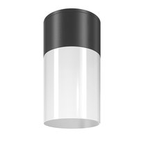 Потолочный светильник Maytoni Outdoor Willis O418CL-01B - Maytoni