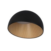 10197/350 Black Потолочный светильник LOFT IT Egg - Loft It