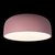 10201/480 Pink Потолочный светильник LOFT IT Axel - Loft It