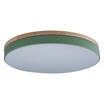 10001/36 Green Потолочный светильник LOFT IT Axel - Loft It