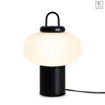 Настольный светильник Freya FR6175TL-L10B - Freya