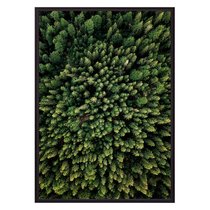Зеленый лес с высоты, 21x30 см - Dom Korleone