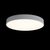 10002/24 White Потолочный светильник LOFT IT Axel - Loft It