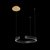 10025/400 Black Подвесной светильник LOFT IT Ring - Loft It