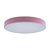 10002/24 Pink Потолочный светильник LOFT IT Axel - Loft It