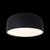 10201/350 Black Потолочный светильник LOFT IT Axel - Loft It