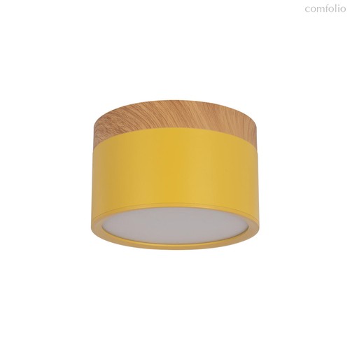 10162 Yellow Накладной светильник LOFT IT Grape - Loft It