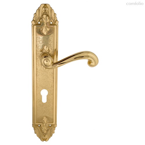 Дверная ручка Venezia Carnevale CYL на планке PL90 полированная латунь - Venezia Collezione