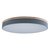 10001/36 Grey Потолочный светильник LOFT IT Axel - Loft It