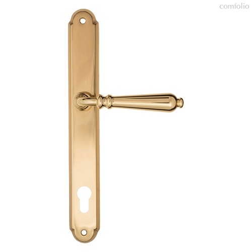 Дверная ручка на планке Fratelli Cattini "NAPOLI" CYL PL01-OLV полированная латунь - Fratelli Cattini