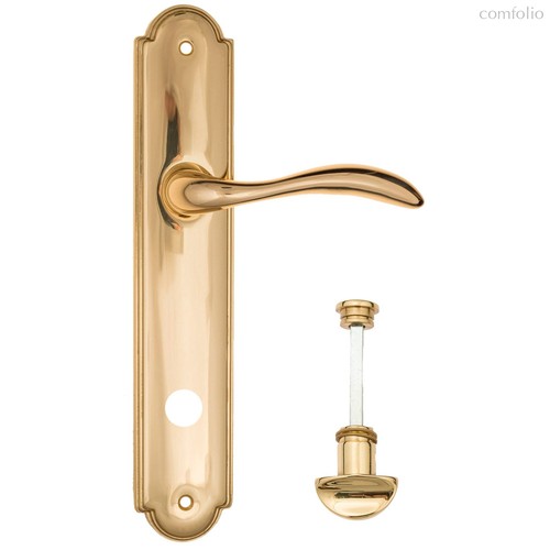 Дверная ручка на планке Fratelli Cattini LUCCIA WC-2 PL257-OLV полированная латунь - Fratelli Cattini