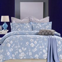 КПБ CL-194, цвет голубой, 2-спальный - Valtery