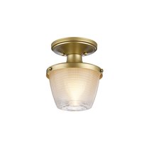 Потолочный светильник для ванных комнат Quoizel QZ-DUBLIN-SF-PNBR - Quoizel