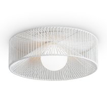 Потолочный светильник Freya Cottage FR5405CL-01W - Freya