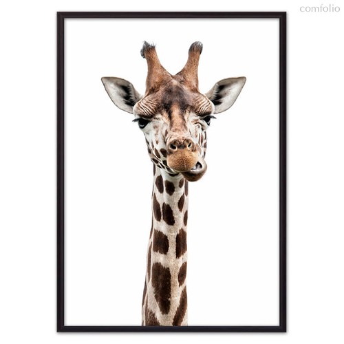 Удивленный жираф, 40x60 см - Dom Korleone