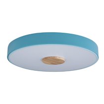 10003/24 Blue Потолочный светильник LOFT IT Axel - Loft It