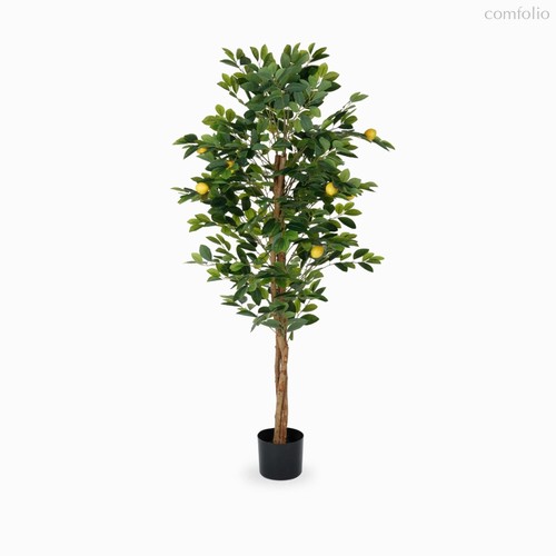 Лимонное дерево высота 150, цвет зеленый - Cosmo