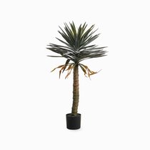 Драцена высота 118, цвет зеленый - Cosmo