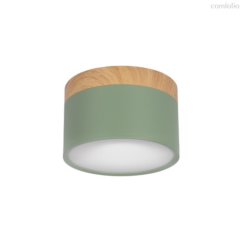 10162 Green Накладной светильник LOFT IT Grape - Loft It