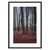Сказочный лес, 50x70 см - Dom Korleone