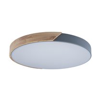10004/36 Grey Потолочный светильник LOFT IT Axel - Loft It