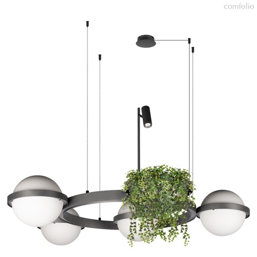 10121/4 Dark grey Подвесной светильник LOFT IT Jardin - Loft It