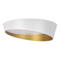 10199 White Потолочный светильник LOFT IT Coin - Loft It