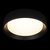 10202 BB Потолочный светильник LOFT IT Coin - Loft It