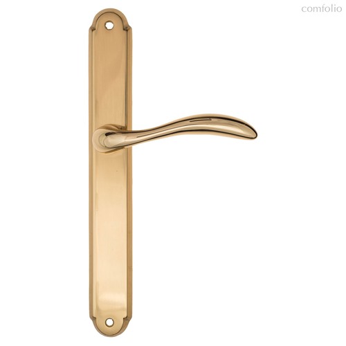 Дверная ручка на планке Fratelli Cattini "LUCCIA" PL01-OLV полированная латунь - Fratelli Cattini