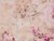 Постельное белье СайлиД сатин D-191, цвет бежевый - Сайлид
