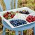 Блюдо для сервировки ST331-WHI(WWQ331-02203B), цвет белый - Costa Nova