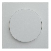 Лицевая панель для диммера 35721 SV, серебро - Rikett