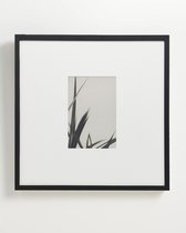 Интерьерный постер Floral - II, цвет бежевый - Louvre Home