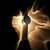 10452W Black sand Настенный светильник LOFT IT Flame - Loft It
