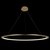 10014XXL Подвесной светильник LOFT IT Ring - Loft It