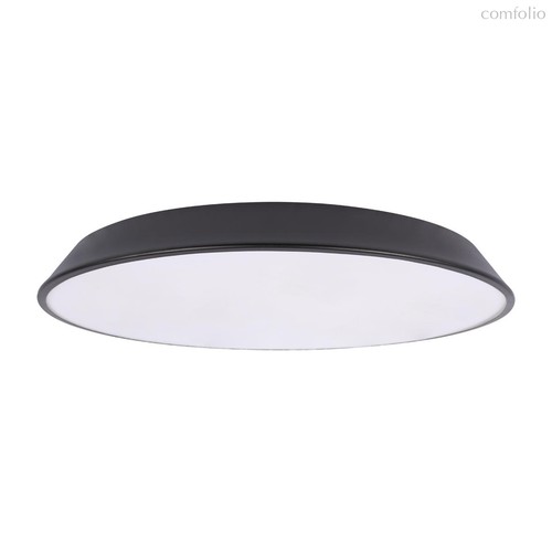 10226 Black Потолочный светильник LOFT IT Brim - Loft It