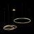 10017/3M Подвесной светильник LOFT IT Ring - Loft It